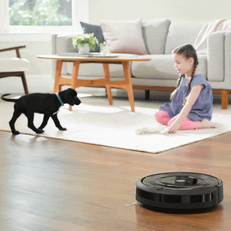 หุ่นยนต์ดูดฝุ่น iRobot® Roomba e5 pet